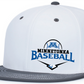 Baseball Perforated FlexFit Fitted Flat Bill Hat