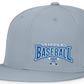 Baseball Perforated FlexFit Fitted Flat Bill Hat