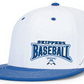 Baseball Perforated FlexFit Fitted Flat Bill Hat