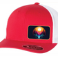 Scenic 110 FlexFit Mesh Snapback Hat