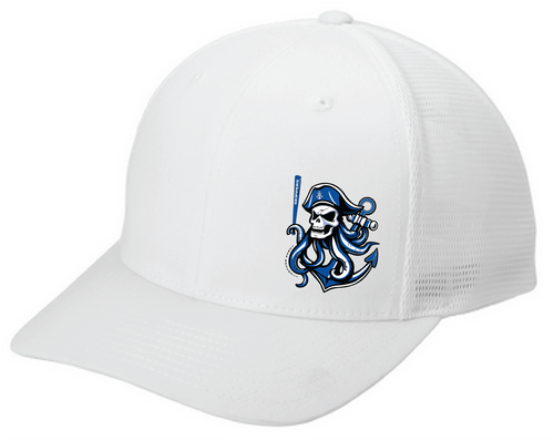 Baseball 110 FlexFit Mesh Snapback Hat